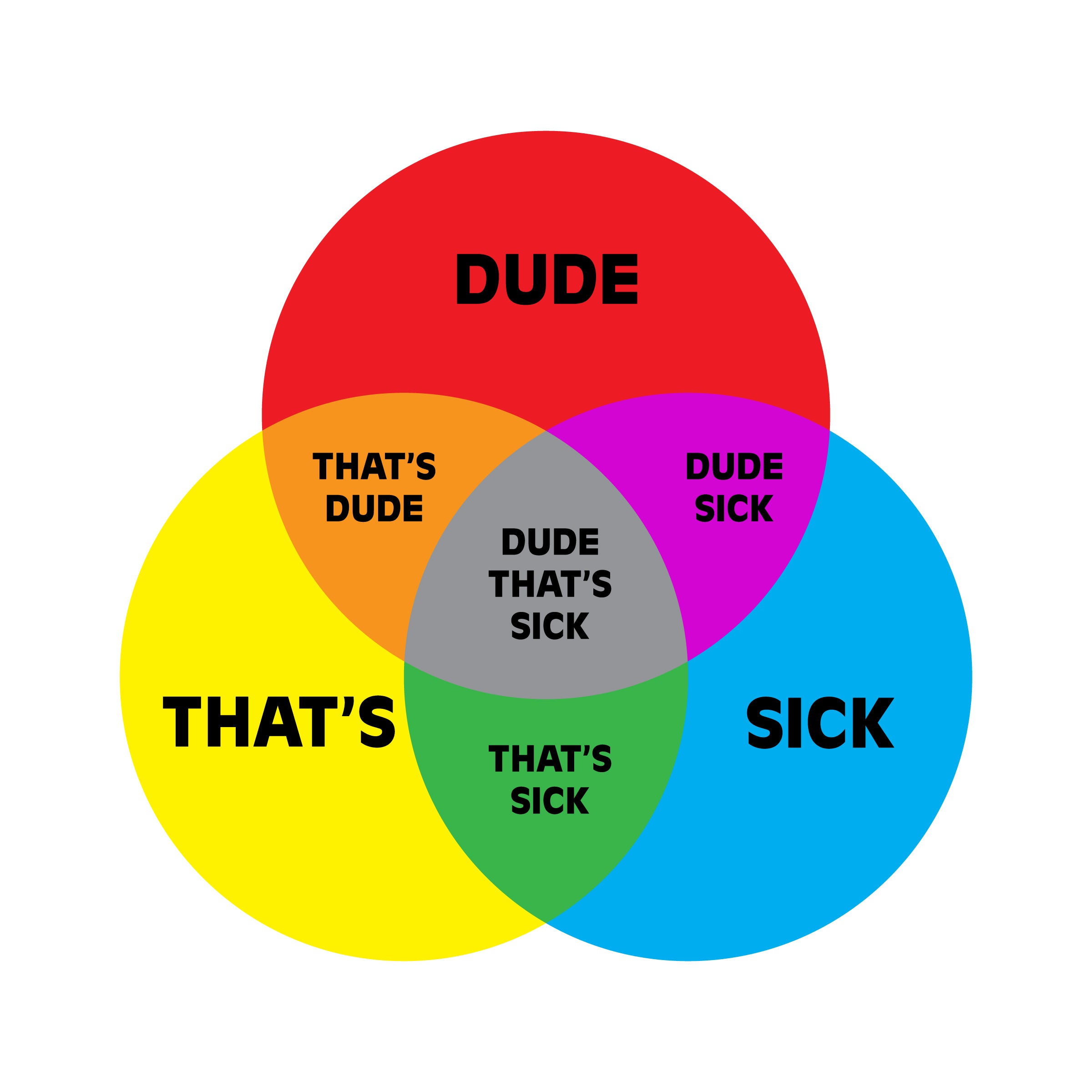 Dude That's Sick Sticker 3pc